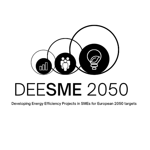 DEESME2050 EU Project